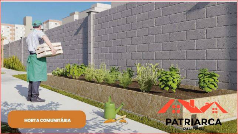 Imagem Apartamento com 2 Quartos à Venda, 40 m² em Jardim Santa Esmeralda - Hortolândia Imagem Apartamento com 2 Quartos à Venda, 40 m² em Jardim Santa Esmeralda - Hortolândia