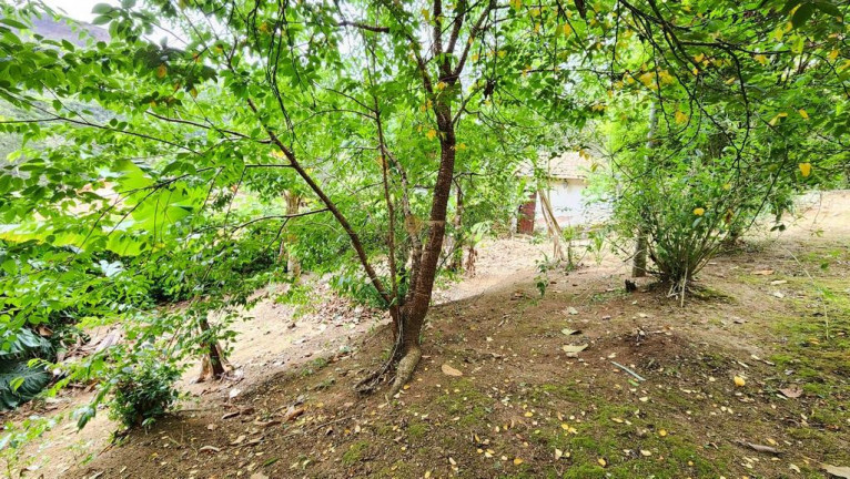 Imagem Terreno à Venda, 760 m² em Três Córregos - Teresópolis Imagem Terreno à Venda, 760 m² em Três Córregos - Teresópolis