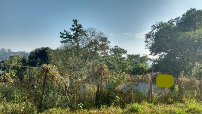 Imagem Terreno à Venda, 2.000 m² em Jardim Pioneiro - Cotia