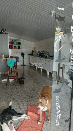 Imagem Imóvel com 2 Quartos à Venda, 200 m² em Cruz De Cedro - Quadra Imagem Imóvel com 2 Quartos à Venda, 200 m² em Cruz De Cedro - Quadra