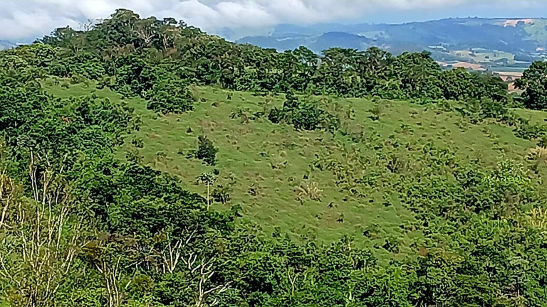 Imagem Chácara à Venda, 2 m² em São João Da Boa Vista Imagem Chácara à Venda, 2 m² em São João Da Boa Vista