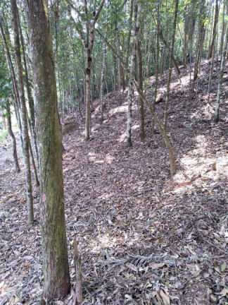 Imagem Terreno à Venda, 4.685 m² em Vargem Grande - Teresópolis Imagem Terreno à Venda, 4.685 m² em Vargem Grande - Teresópolis