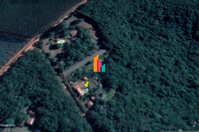 Imagem Imóvel com 4 Quartos à Venda, 20.000 m² em Sítios Fazenda Primavera - Jarinu Imagem Imóvel com 4 Quartos à Venda, 20.000 m² em Sítios Fazenda Primavera - Jarinu