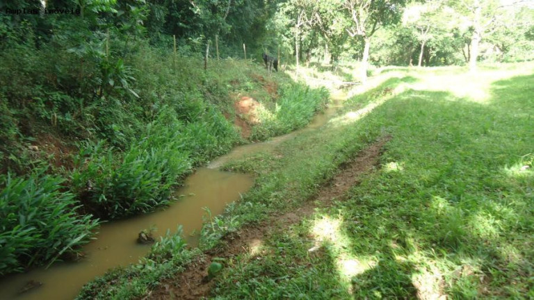 Imagem Fazenda à Venda, 6 m² em Azurita - Mateus Leme