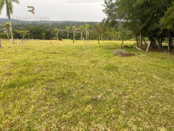 Imagem Chácara com 2 Quartos à Venda, 32.000 m² em Fazenda Fialho - Taquara Imagem Chácara com 2 Quartos à Venda, 32.000 m² em Fazenda Fialho - Taquara