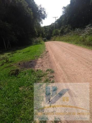 Imagem Terreno à Venda, 20.000 m² em Contenda - São José Dos Pinhais