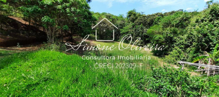 Imagem Chácara com 4 Quartos à Venda, 27.000 m² em Campinas - Pindamonhangaba Imagem Chácara com 4 Quartos à Venda, 27.000 m² em Campinas - Pindamonhangaba