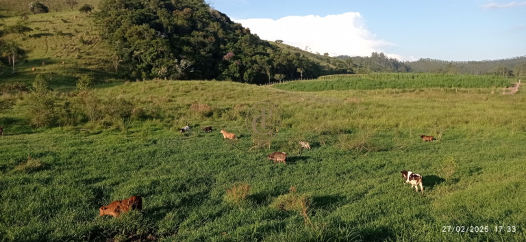Imagem Fazenda à Venda, 1.010.000 m² em Jardim São Dimas - São José Dos Campos