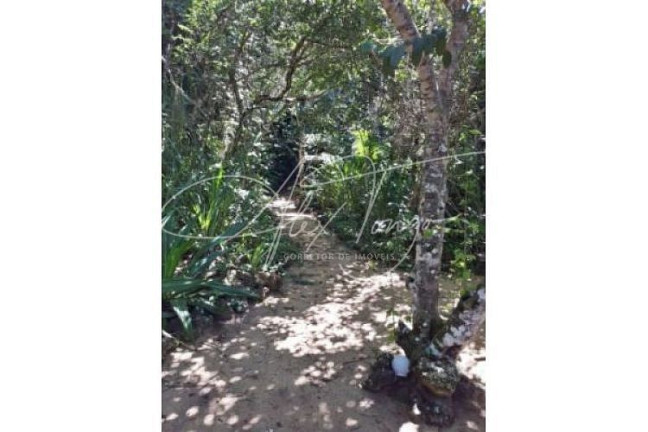 Imagem Fazenda à Venda, 1.006 m² em Santa Cruz - Aracruz