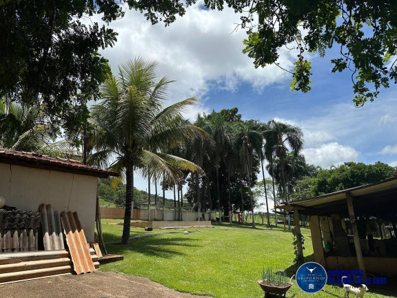 Imagem Chácara à Venda, 40 m² em Zona Rural - Petrolina De Goiás Imagem Chácara à Venda, 40 m² em Zona Rural - Petrolina De Goiás