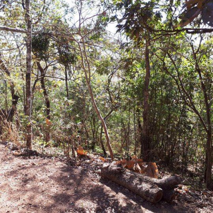 Imagem Chácara à Venda, 3.220 m² em Conjunto Alvorada - Uberlândia Imagem Chácara à Venda, 3.220 m² em Conjunto Alvorada - Uberlândia