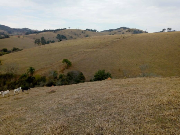 Imagem Chácara com 3 Quartos à Venda, 532 m² em Zona Rural - Cambuí Imagem Chácara com 3 Quartos à Venda, 532 m² em Zona Rural - Cambuí