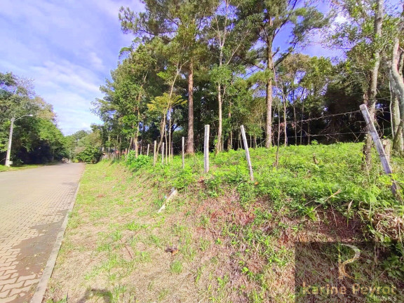 Imagem Terreno à Venda, 300 m² em Campestre - São Leopoldo