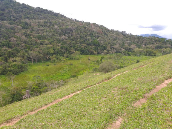 Imagem Fazenda à Venda, 9.790.000 m² em Centro - Trajano De Morais Imagem Fazenda à Venda, 9.790.000 m² em Centro - Trajano De Morais