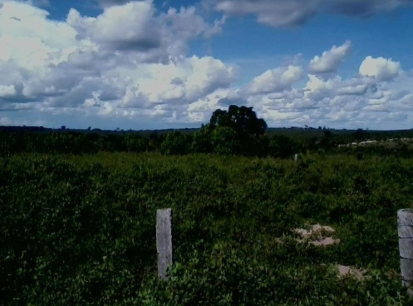 Imagem Imóvel à Venda,  em Colinas Do Tocantins - Colinas Do Tocantins