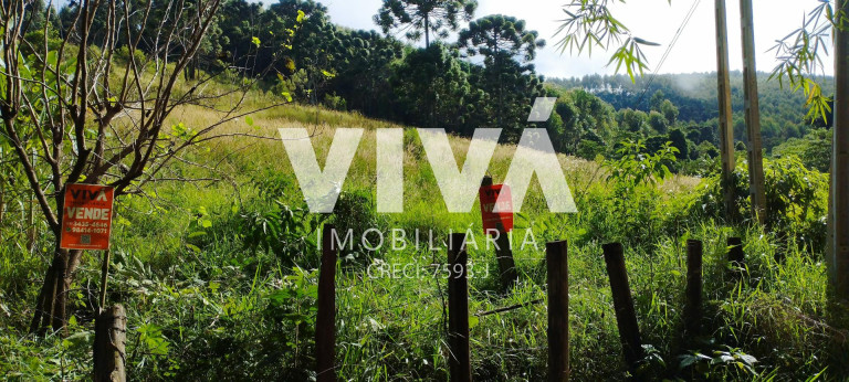 Imagem Terreno à Venda, 12.000 m² em Pinhal Grande - Extrema
