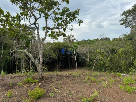 Imagem Imóvel com 1 Quarto à Venda, 3.000 m² em Zona Rural - Gameleira De Goiás Imagem Imóvel com 1 Quarto à Venda, 3.000 m² em Zona Rural - Gameleira De Goiás