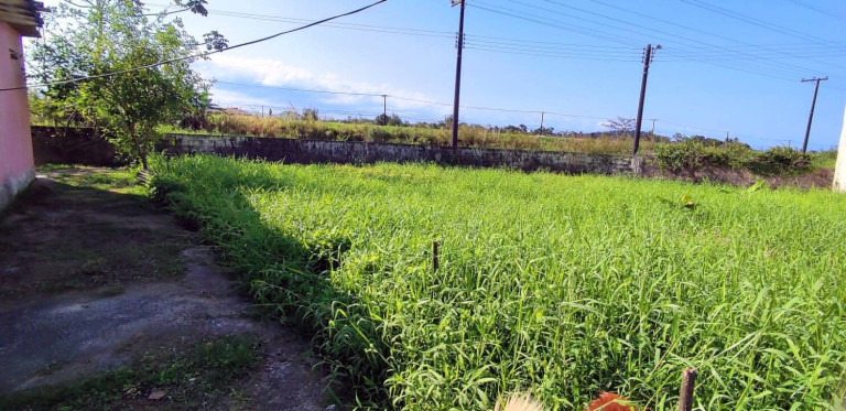 Imagem Terreno à Venda, 442 m² em São José - Peruíbe Imagem Terreno à Venda, 442 m² em São José - Peruíbe
