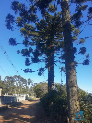Imagem Imóvel com 2 Quartos à Venda, 100 m² em Guaragi - Ponta Grossa Imagem Imóvel com 2 Quartos à Venda, 100 m² em Guaragi - Ponta Grossa