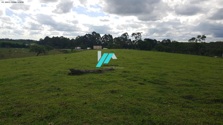 Imagem Fazenda à Venda, 128 m² em Zona Rural - Oliveira Imagem Fazenda à Venda, 128 m² em Zona Rural - Oliveira