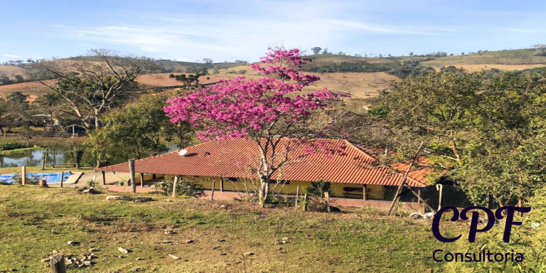 Imagem Imóvel com 3 Quartos à Venda, 5 m² em Centro - Ouro Fino Imagem Imóvel com 3 Quartos à Venda, 5 m² em Centro - Ouro Fino