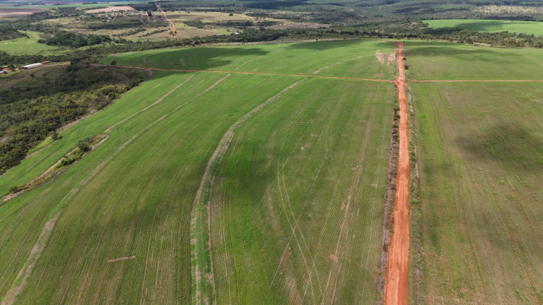 Imagem Fazenda à Venda, 195 m² em Zona Rural - Uberlândia Imagem Fazenda à Venda, 195 m² em Zona Rural - Uberlândia