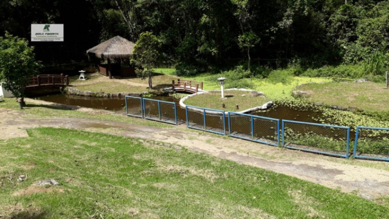 Imagem Fazenda à Venda, 121.000 m² em Alto Da Serra - São Roque Imagem Fazenda à Venda, 121.000 m² em Alto Da Serra - São Roque
