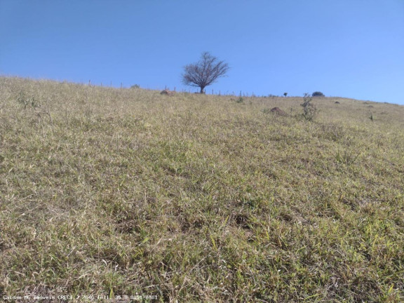 Imagem Chácara à Venda, 44.800 m² em Santo Antônio De Caldas - Caldas Imagem Chácara à Venda, 44.800 m² em Santo Antônio De Caldas - Caldas