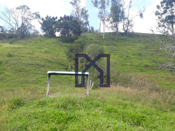 Imagem Fazenda à Venda, 360.000 m² em Cubatão - Marmelópolis