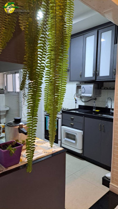 Imagem Apartamento com 3 Quartos à Venda, 92 m² em Lauzane Paulista - São Paulo Imagem Apartamento com 3 Quartos à Venda, 92 m² em Lauzane Paulista - São Paulo