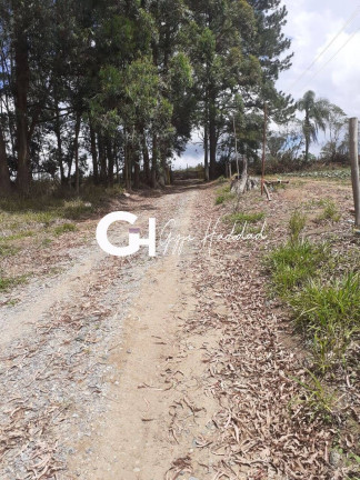Imagem Chácara com 3 Quartos à Venda, 5 m² em Piedade