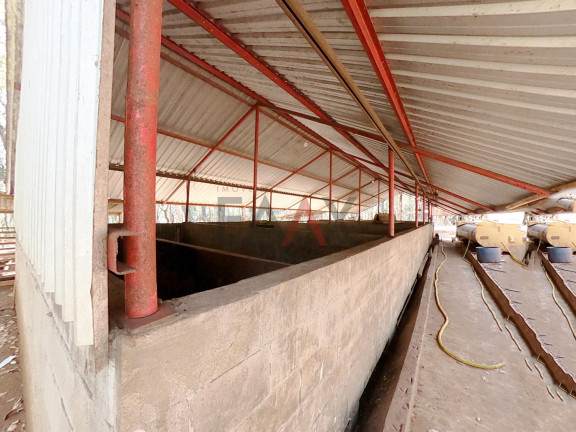 Imagem Fazenda à Venda, 24.200 m² em Morro Alto - Guarapuava Imagem Fazenda à Venda, 24.200 m² em Morro Alto - Guarapuava