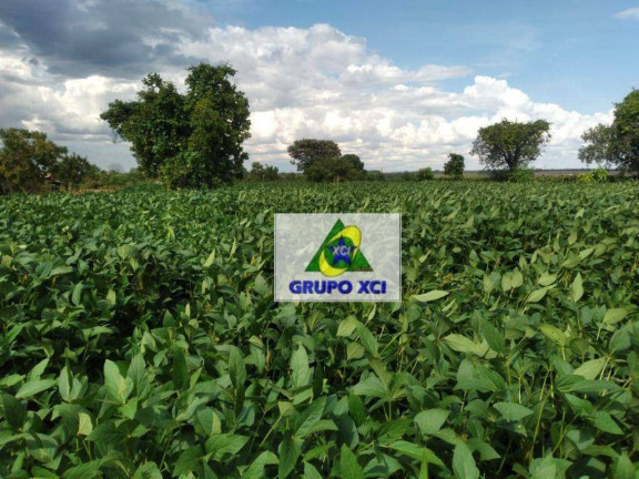 Imagem Fazenda à Venda, 3.388.000 m² em Zona Rural - Ponte Alta Do Tocantins Imagem Fazenda à Venda, 3.388.000 m² em Zona Rural - Ponte Alta Do Tocantins