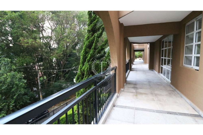 Imagem Apartamento com 4 Quartos à Venda, 239 m² em Vila Suzana - São Paulo Imagem Apartamento com 4 Quartos à Venda, 239 m² em Vila Suzana - São Paulo