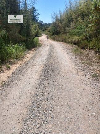 Imagem Terreno à Venda, 2.500 m² em Caetê - São Roque Imagem Terreno à Venda, 2.500 m² em Caetê - São Roque