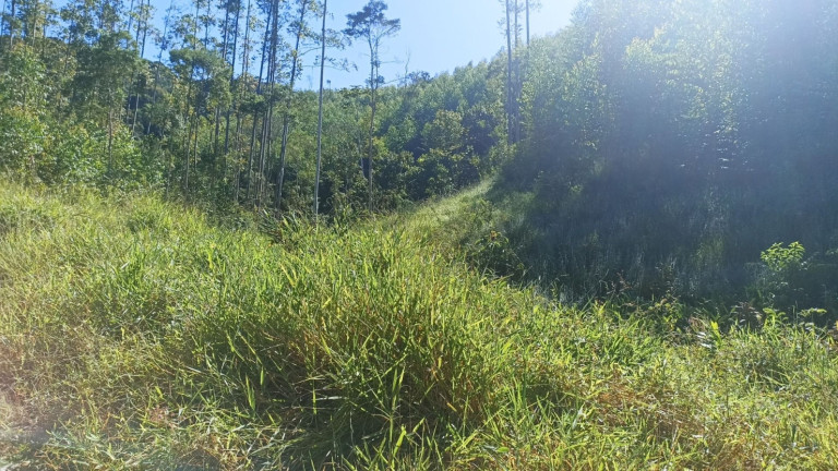 Imagem Chácara com 1 Quarto à Venda, 200 m² em Mirandão - Paraibuna