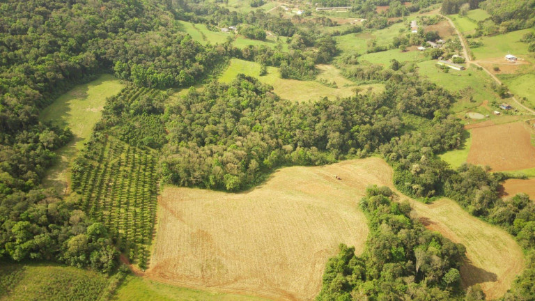Imagem Terreno à Venda, 242.000 m² em Rural - Concórdia Imagem Terreno à Venda, 242.000 m² em Rural - Concórdia