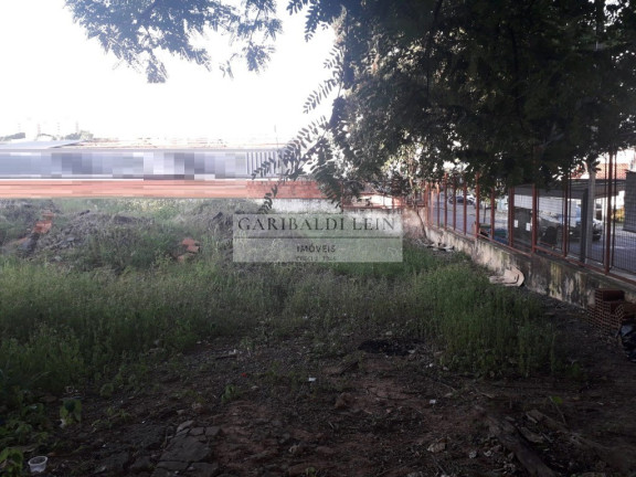 Imagem Imóvel à Venda, 834 m² em Vila Itapura - Campinas Imagem Imóvel à Venda, 834 m² em Vila Itapura - Campinas