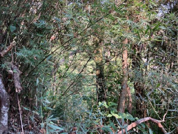 Imagem Terreno à Venda, 1.095 m² em Jardim Colibri - Embu Das Artes Imagem Terreno à Venda, 1.095 m² em Jardim Colibri - Embu Das Artes