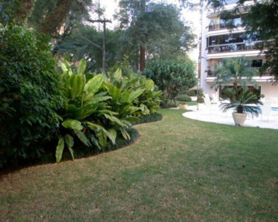 Imagem Apartamento com 4 Quartos à Venda, 450 m² em Higienópolis - São Paulo Imagem Apartamento com 4 Quartos à Venda, 450 m² em Higienópolis - São Paulo