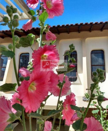 Imagem Casa com 4 Quartos à Venda, em Parque Marajoara - Santo André Imagem Casa com 4 Quartos à Venda, em Parque Marajoara - Santo André