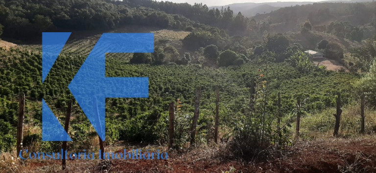 Imagem Imóvel à Venda, em São Caetano Do Lino - Capelinha Imagem Imóvel à Venda, em São Caetano Do Lino - Capelinha