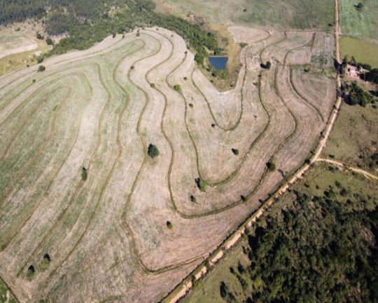 Imagem Chácara à Venda, 5.000 m² em Vale Da Castelo - Pardinho Imagem Chácara à Venda, 5.000 m² em Vale Da Castelo - Pardinho
