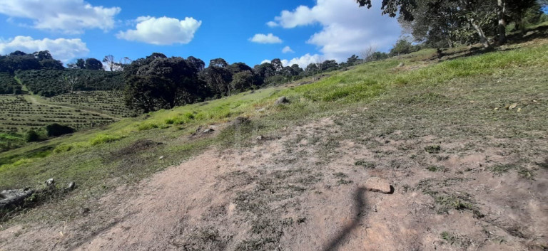 Imagem Imóvel à Venda, 3 m² em Milho Verde - Bandeira Do Sul Imagem Imóvel à Venda, 3 m² em Milho Verde - Bandeira Do Sul