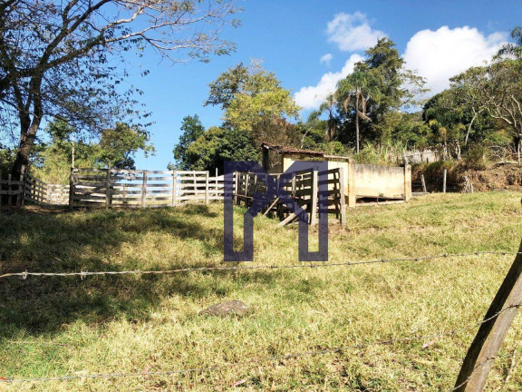 Imagem Fazenda à Venda, 417.500 m² em área Rural De Itajubá - Itajubá