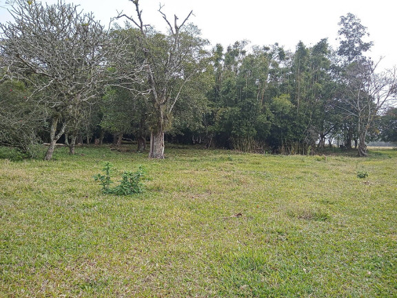 Imagem Terreno à Venda, 713 m² em águas Claras - Viamão