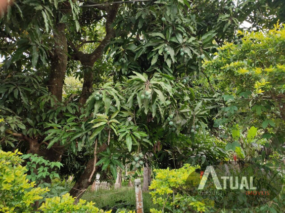Imagem Terreno à Venda, 2.335 m² em Jardim Estância Brasil - Atibaia