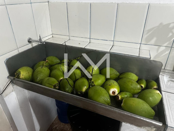 Imagem Chácara com 3 Quartos à Venda, 270 m² em Icapara - Iguape Imagem Chácara com 3 Quartos à Venda, 270 m² em Icapara - Iguape