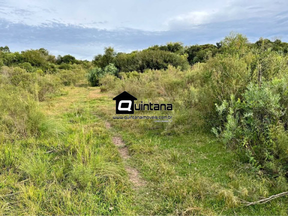 Imagem Imóvel à Venda, 200.000 m² em 2º Distrito - Piratini Imagem Imóvel à Venda, 200.000 m² em 2º Distrito - Piratini