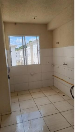 Imagem Apartamento com 2 Quartos à Venda, 44 m² em Loteamento São Gerônimo - Campo Largo Imagem Apartamento com 2 Quartos à Venda, 44 m² em Loteamento São Gerônimo - Campo Largo
